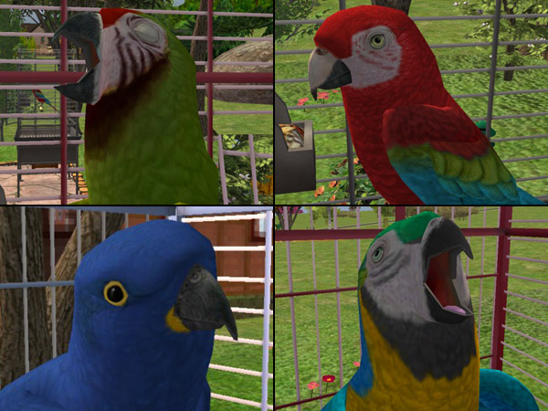 macaws mods